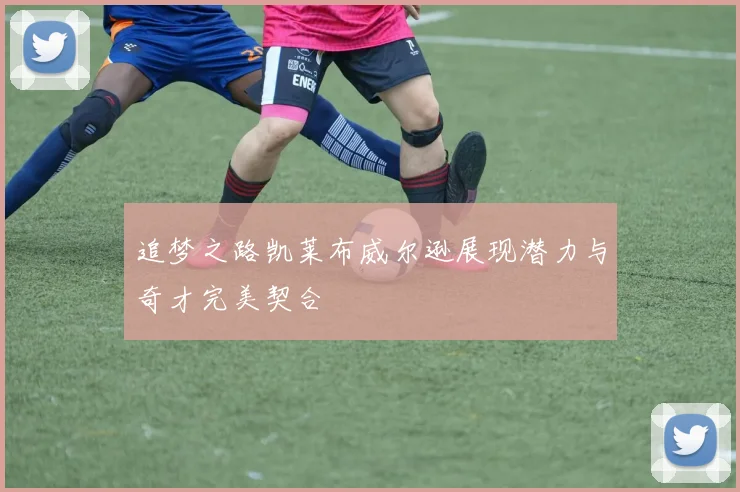 追梦之路凯莱布威尔逊展现潜力与奇才完美契合